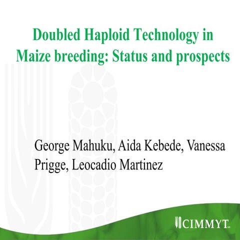 S4.4  Doubled Haploid Technology in Maize breeding: Status and prospects