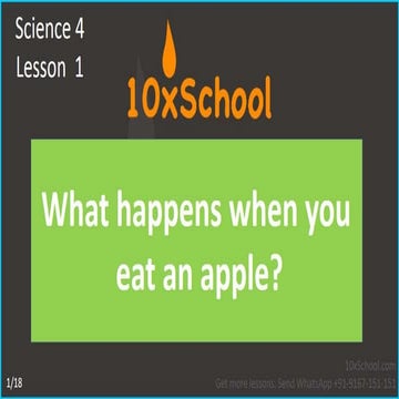 What happens when you eat an apple?  Learn about digestive system.  A Lesson from 10xSchool.com