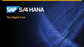 S/4hana Business Audience