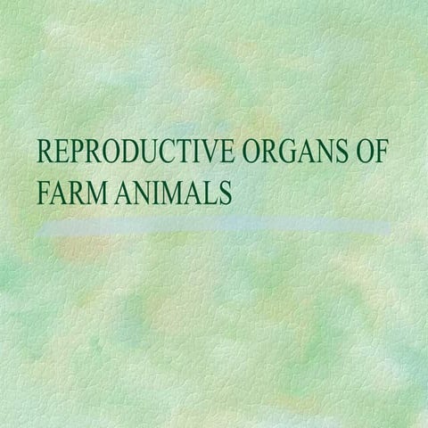 Farm Animal Reproduction | PPTX