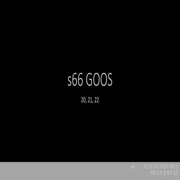 S66 goos-w6