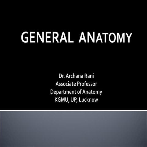 anatomy | PPT