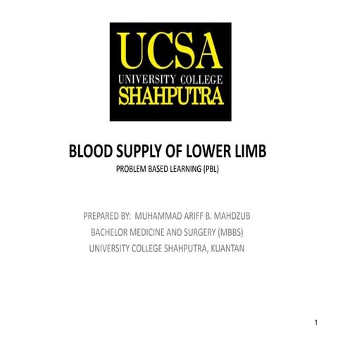 BLOOD SUPPLY OF LOWER LIMB