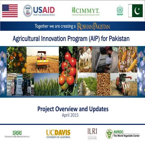 Muhammad Imtiaz - Agricultural Innovation Program (AIP) for Pakistan