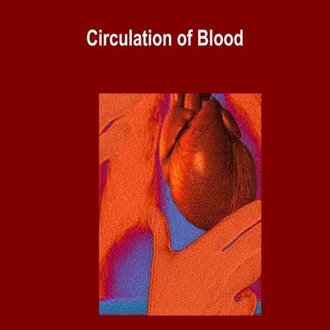 Circulation of Blood