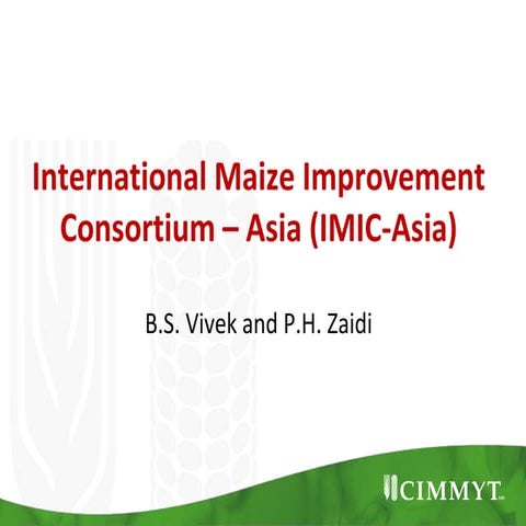 S8.3 International Maize Improvement Consortium – Asia (IMIC-Asia)