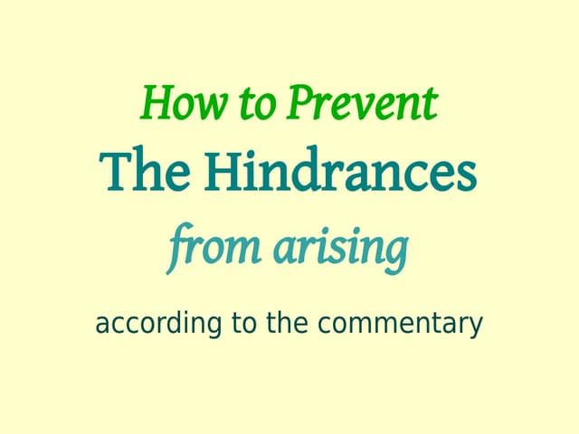 Satipatthana Sutta Workshop - S8 Hindrances