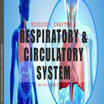 SCIENCE 9 Respiratory System