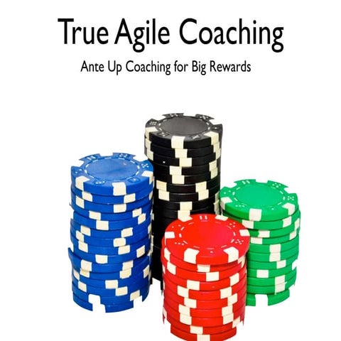 Agile Resonance Coaching -Scrum Gathering 2013