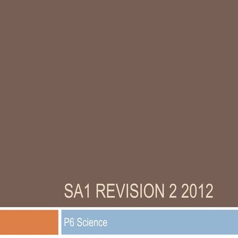 Vanda International Science Competitions Primary Grade 4 | PDF