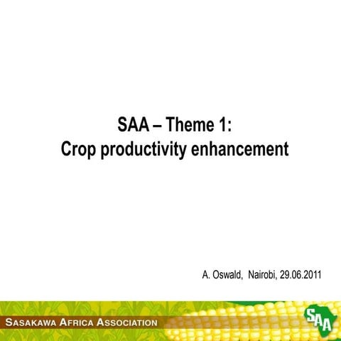 Sasakawa Africa Association --  Crop productivity enhancement