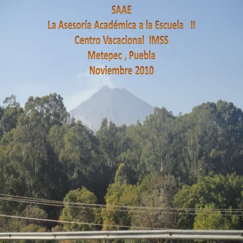 Saae ii metepec