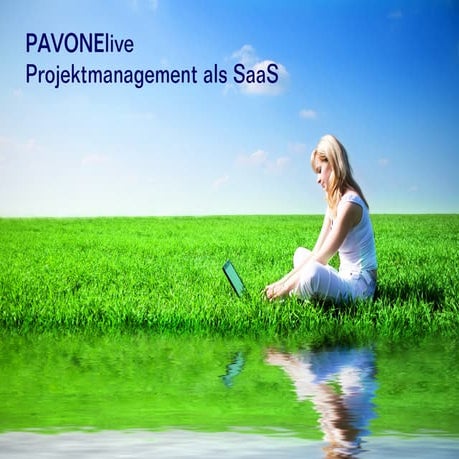 Projektmanagement SaaS, Projekte Software as Service
