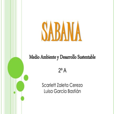 Sabana 