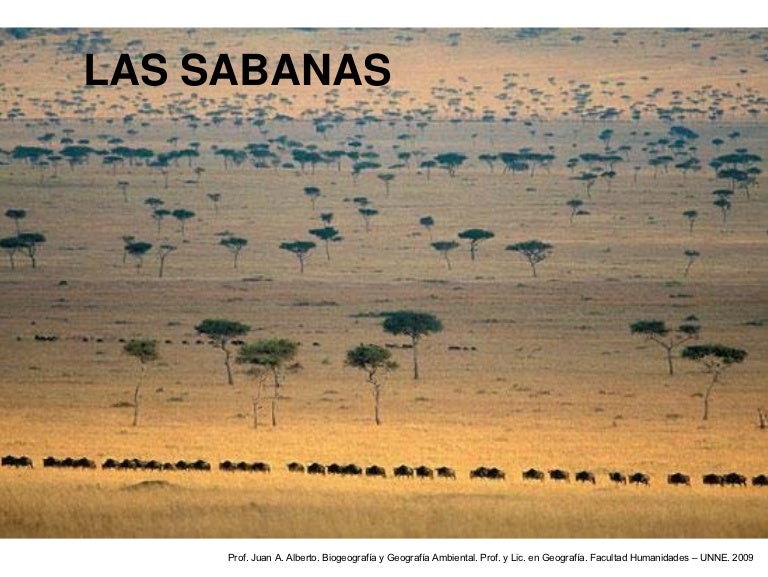 Sabanas