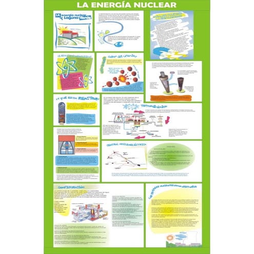 Organigrama Didt | PPTX