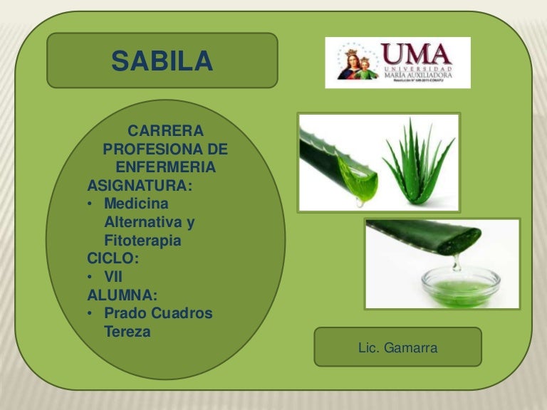 sábila planta remedial nombre cientifico