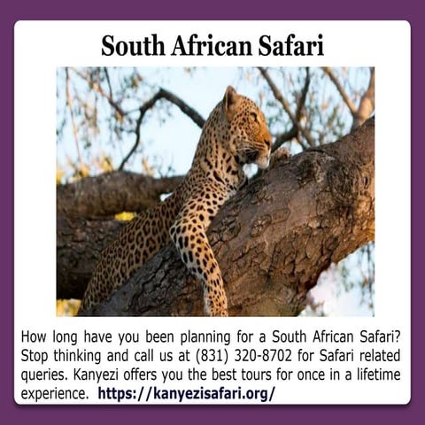 Sabi Sabi Safari