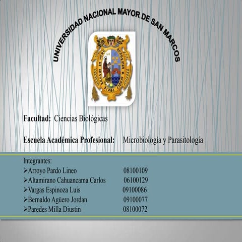 Saccharomyces cerevisae en la producción de etanol. grupo 3