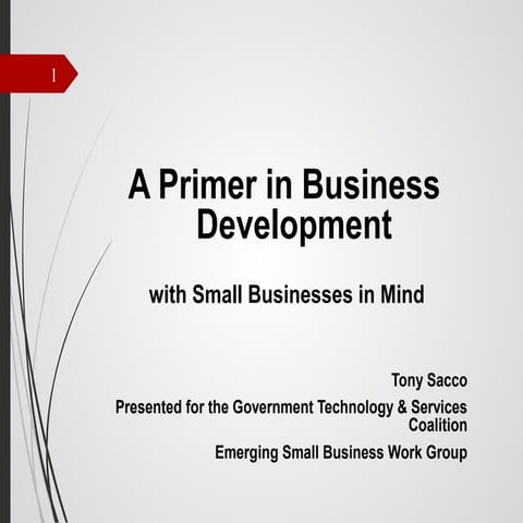 Business Development for Small Government Contracting Companies