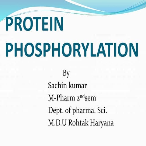 protein phosphorylation