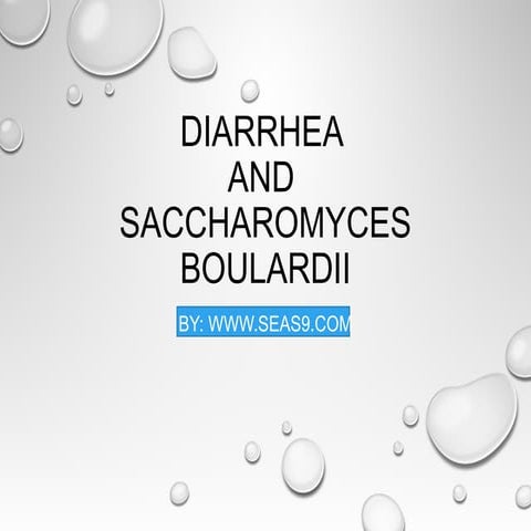 Sachromyces Boulardi