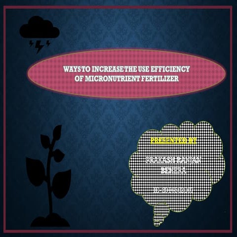 ways to increase micronutrient use efficiency