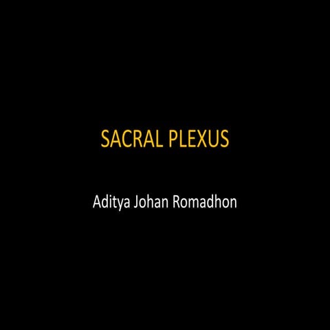 Sacral plexus