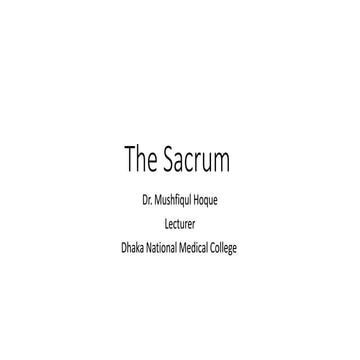 Sacrum | PPT