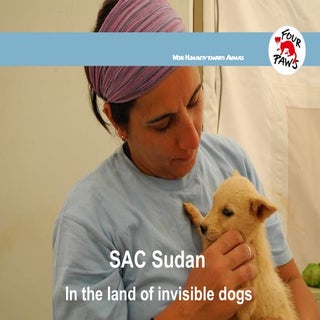 Sac sudan