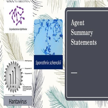 Agent summary statement of Hantavirus and corynebacteria .pptx