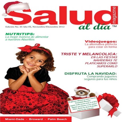 SADM 45 Año IX Nov Dic 2012