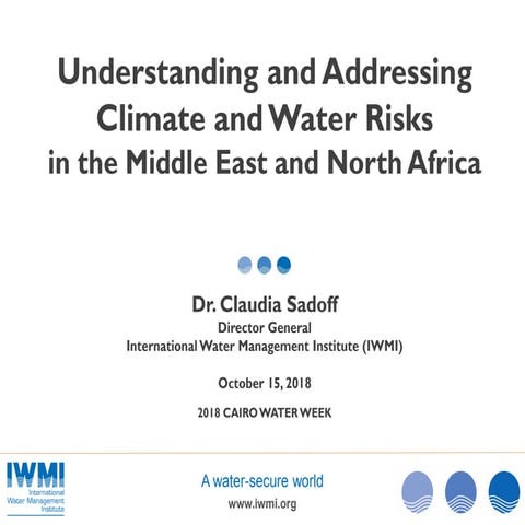 Understanding and Addressing Climate and Water Risks in the Middle East ...