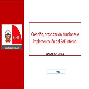 II. EE. SAEI.pptx CMDT HPC SAÑO--------- | PPTX