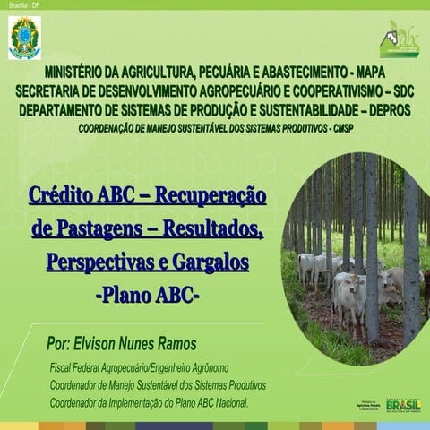 Crédito ABC – Recuperação de Pastagens: Resultados, Perspectivas e Gargalos
