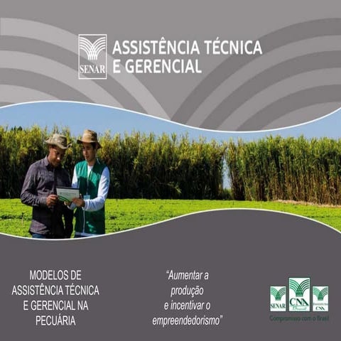 Modelos de assistência técnica e gerencial na pecuária