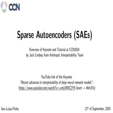 Interpretability of Deep Neural Networks with Sparse Autoencoders | PDF