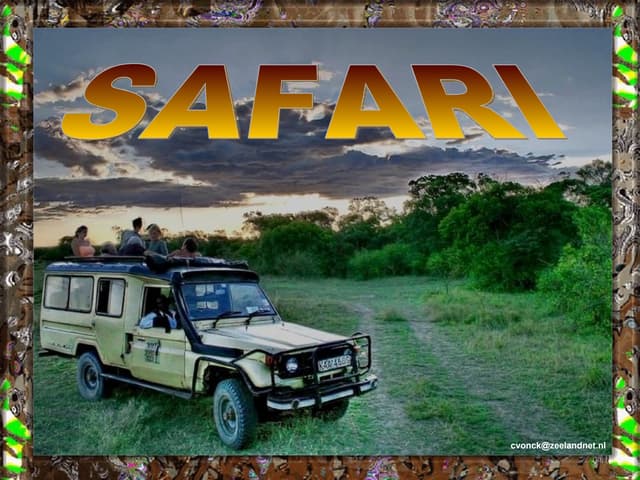 Safari