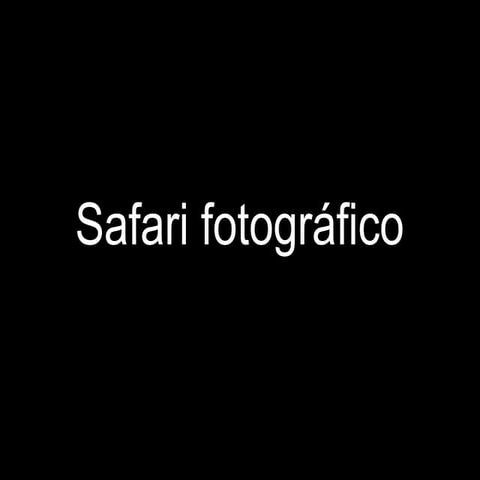 Safari fotográfico: As marabillas da nosa comarca