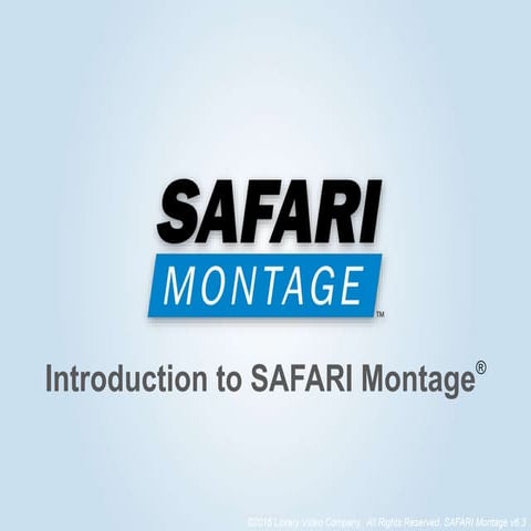 Introduction to Safari Montage