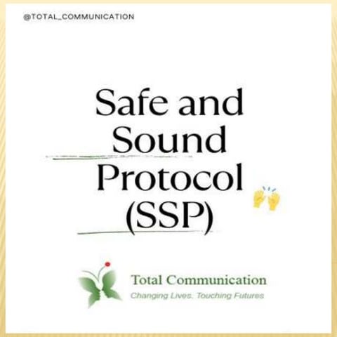 Looking for Safe and Sound Protocol.pptx