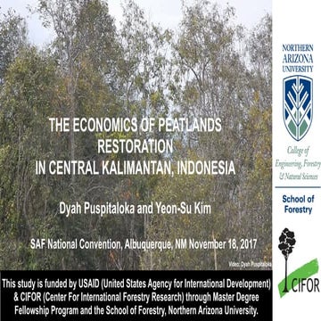 Economics of Peatlands Restoration in Central Kalimantan, Indonesia
