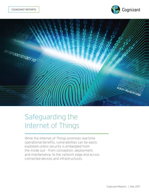 Safeguarding the Internet of Things