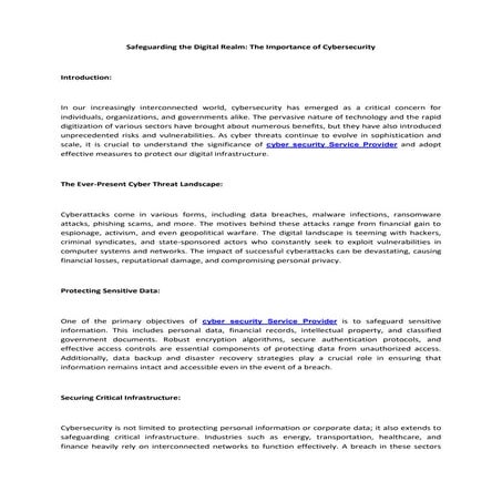 Safeguarding the Digital Realm.pdf