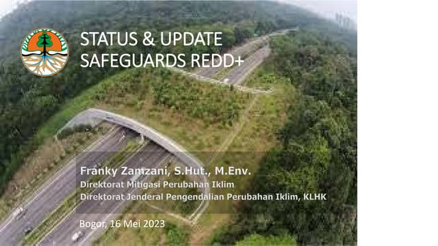 thumbnail of Status & Update Safeguards REDD+