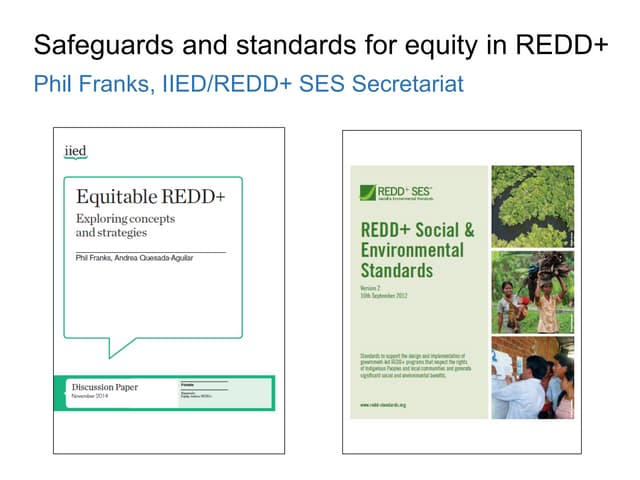 Equity workshop: Safeguards and standards for equity in redd+