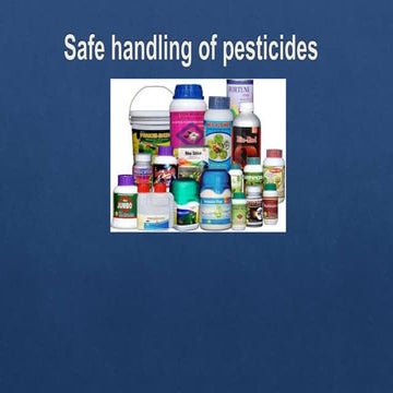 General safety precautions while handling insecticides and guidelines ...
