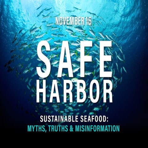 SAFE HARBOR