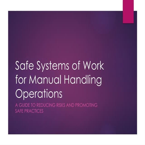 Comprehensive Guide to Safe Systems of Work for Manual Handling ...