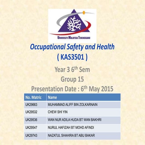 Safety Audit at Workplace (Group 15)